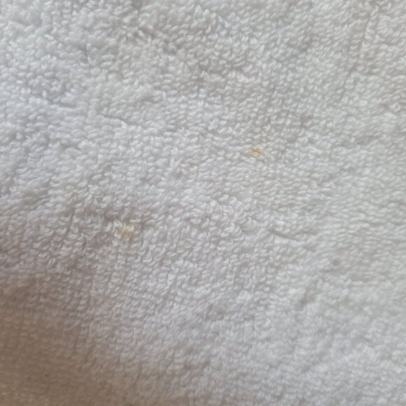 Set Of 2 Dena Home Holiday Kitchen Towels With Dog & Santa Hat Design - Picture 5 of 6